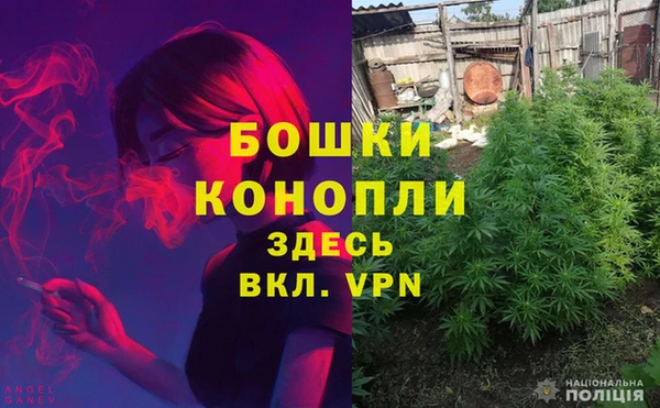 спайс Белокуриха