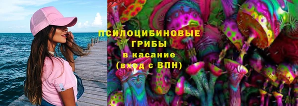 спайс Белокуриха