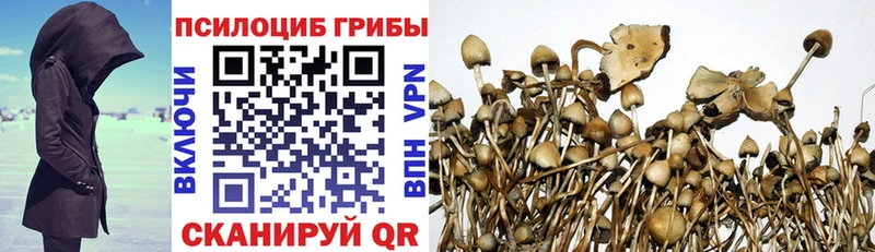 Псилоцибиновые грибы Magic Shrooms  Полесск 